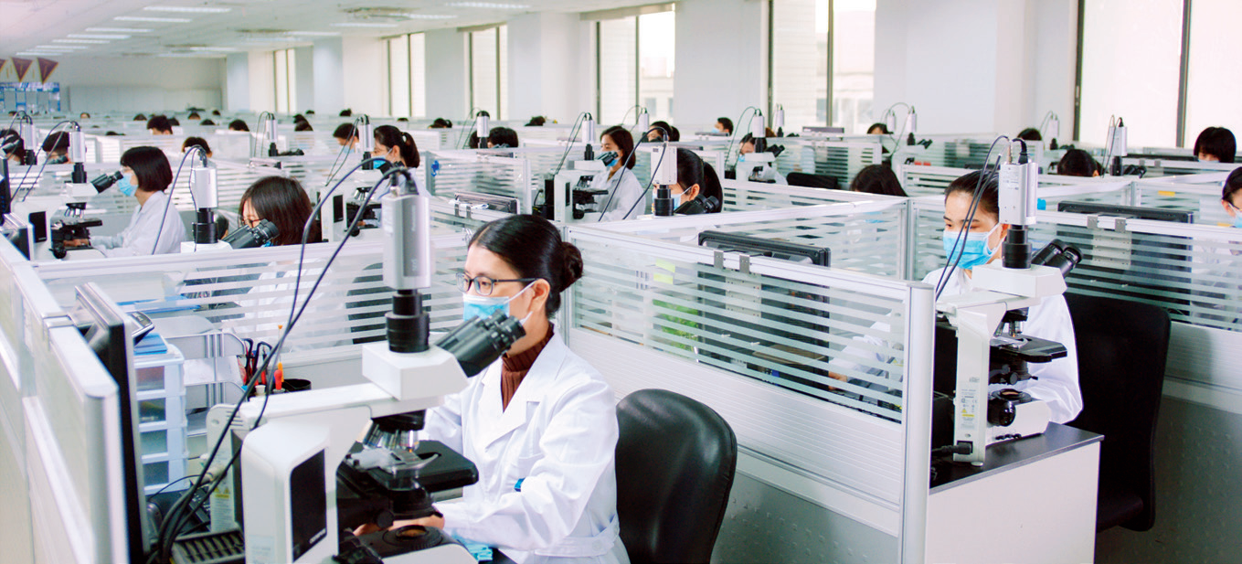 实验室及研发人员现场操作。